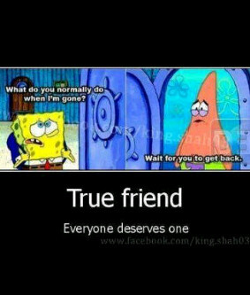 PipTick's profile picture. 