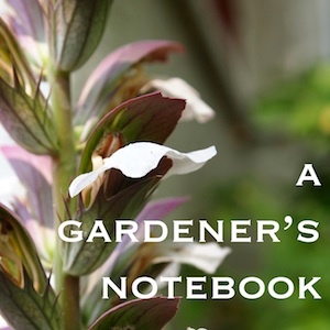 The Twitter home of A Gardener's Notebook blog and podcast hosted by Douglas E. Welch (http://t.co/GXby1S5Q)