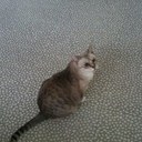 Fiona Owens - @owens_fiona - Twitter