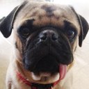 Biggs Nelson - @BiggsNelson40 - Twitter