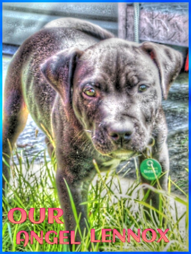 MissBricy's profile picture. 