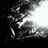 LegacyOfADream's profile image