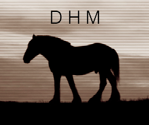 DHMAgency's profile picture. Management + Media + Events + Beer + Hot Sauce  /// Mark Allen /// mark@dhmagency.com