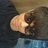 tter1212's profile image
