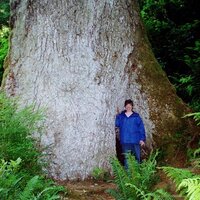 Heidi Grange (@geolibrarian) 's Twitter Profile Photo