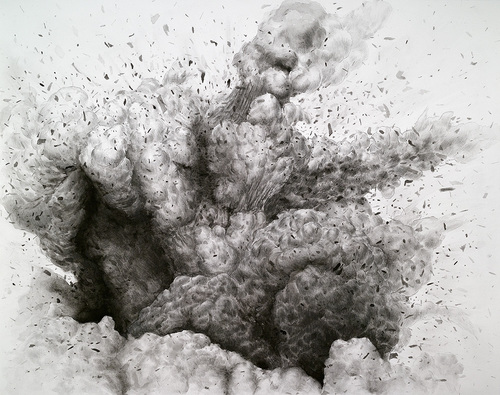 Noquedahielo's profile picture. Biología de la tecnología