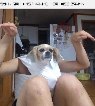 맞팔100% / 아~ 개같은 세상~ 짖어보자 왈왈