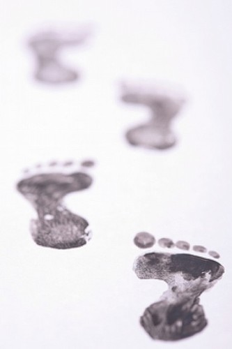 Stepwork_GGZ's profile picture. Stepwork #GGZ ambulante #verslavingszorg gelooft dat elke #verslaafde kan herstellen als hij daartoe bereid is.
http://t.co/qLIrMRKR