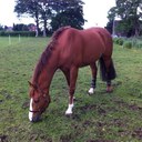 barbara madden - @bmad3132 - Twitter