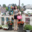 sdy3705's profile image