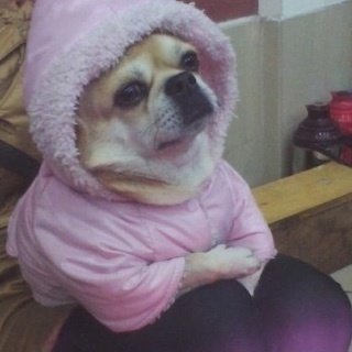 BratJay's profile picture. 본격 보는사람도 톰젤리되는소개.
비비빕한 사람임 ㅋ 
비는 좋다.
하지만 배리기는 싫음 ㅋ
맛집 저격하고 다님 조심하셈 ㅋ