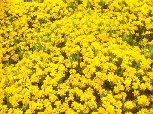 Dgtynwa's profile picture. 