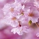 保守　昭和依存　レトロ　千葉県内ぶらり　#千葉 #佐原 #香取 #成田　