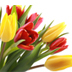 At http://t.co/DxQRnEelH1 ..we have a perfect solutions for all those who are far from their dear ones in India & want to send flowers or Valentine's day gifts