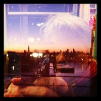 Maureen Stapleton (@mastapleton) 's Twitter Profile