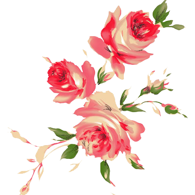 29+ Png سكرابز ورد ابيض زاويه Gif