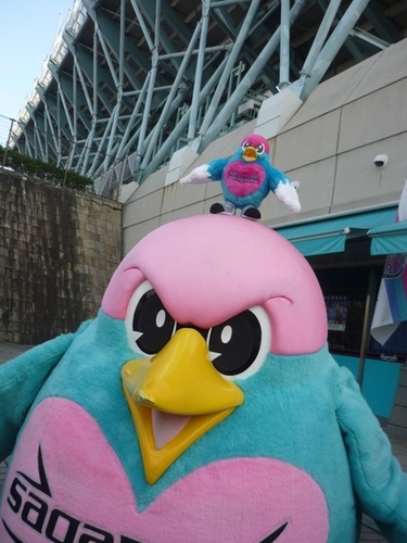 aska917's profile picture. テニス・サガン鳥栖・B'zが好きです。 現在は東京でソフトウェアエンジニアやってます