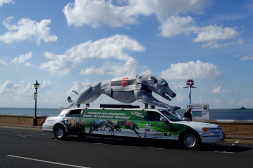 bigdogtour's profile picture. The World's Biggest Greyhound...on a 6 month UK tour... thats bigger than Take That!! Ha ha. Come & see us for concessions to enjoy Britain's FUN night out.