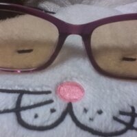 ハルちゃん(@helvetia0914) 's Twitter Profile Photo