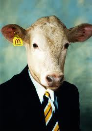 Qué puedo decir, soy una vaca.
Mamífero vertebrado , Intelectual, Escritor, Ambientalista, Ecologista, Pensador, Filósofo, Oráculo, Amante de los vegetales