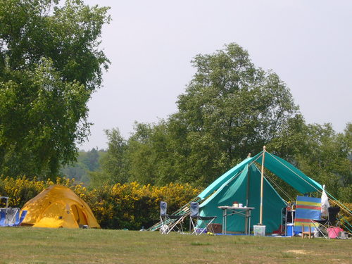 Family friendly, adult friendly, children friendly ,dog friendly, just very friendly Campsite in the New Forest.