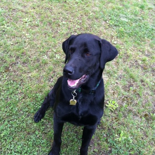 CorrPatrick's profile picture. 