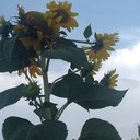 Justin Duda - @Duda_JustDuda - Twitter