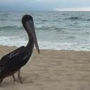 Paul Sellars - @PaulSellars78 - Twitter