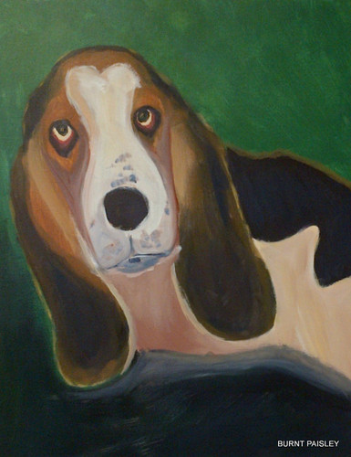 Female Native Austinite with one Bad-Ass Basset Hound, Handsomely Named Winston, that Wyatt has now taken his place.