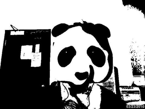 rss1989's profile picture. meow