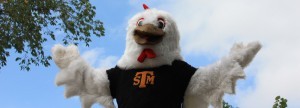 ReaganRooster's profile picture. I'm the mascot of St Thomas More College Students' Union!  Here to keep you up to date with all STM events and activities.