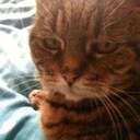 Catherine Shearing - @CatherineSheari - Twitter