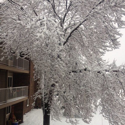 sadhanaNK's profile picture. 