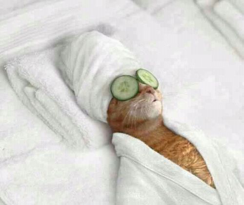 Lucyegas's profile picture. 