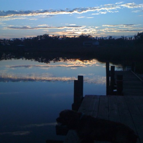 wittnique's profile picture. Kim Wittmann-Necaise