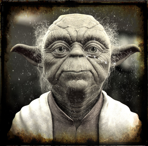 Seeking wisdom