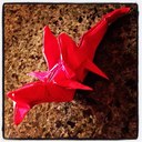 Frank Egan - @Eganortho - Twitter