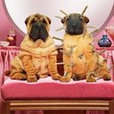 Diana Cota - @DianaCota6 - Twitter