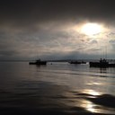 Chris Apel - @Chris_Apel - Twitter