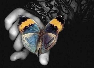 vivisleonc's profile picture. “Siembra la luz del amor en cada ser humano y cosecharás eternamente estrellas que te iluminarán cuando todo oscurezca”