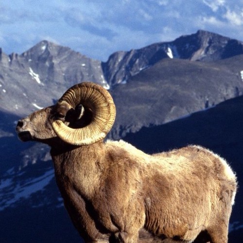 pastord09's profile picture. 