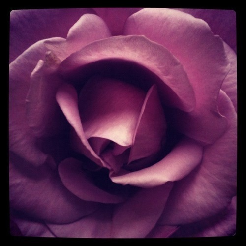 Maryana_isFit's profile picture. I love health and sharing health tips!