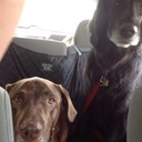 Keri Ferro - @IamKeriMann - Twitter