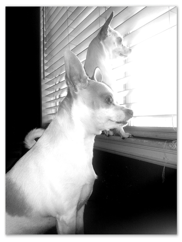 RickDroid04's profile picture. 