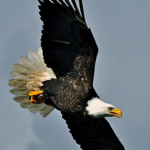 ali11827258's profile picture. 