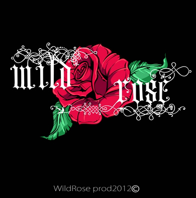 Groupe dédié à l’équipe de jeunes producteurs  WILDROSE PROD  basée à Paris.
WildRose Prod se spécialise dans la réalisation de video clips/teasers/documenta
