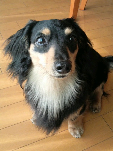 barbarbar72's profile picture. 