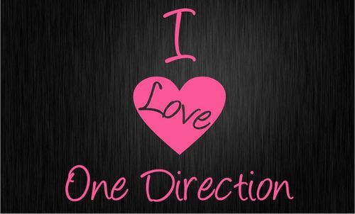 One cat lover, One carrot eater, One spoon hater, One Zayn admirer, One Irish, One Pigeon, One Brit, One Band, One Dream, One Direction.
'Liamdos'..'