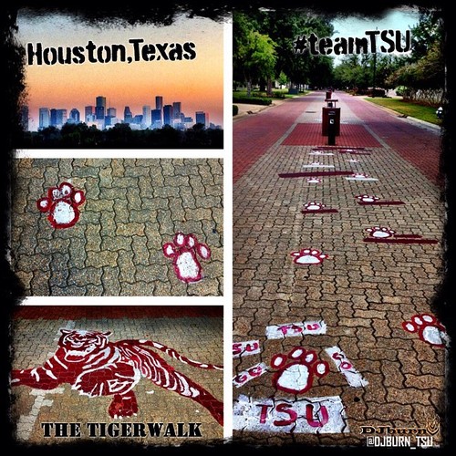 Welcome to the new and improved Official Page for TxSU16
Texas Southern University
TSU TIGERS !
#TSU #TeamTSU #TxSU16
Follow us !