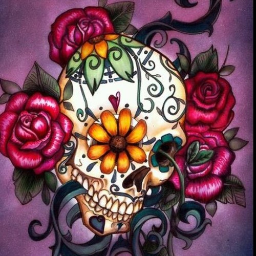 kp5354's profile picture. 